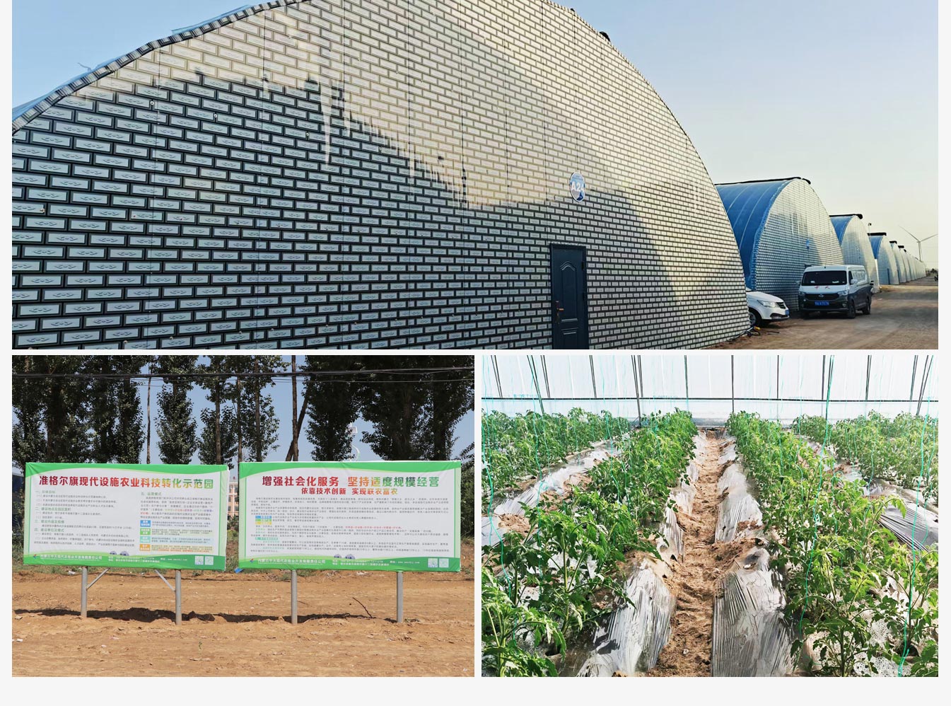 準格爾旗現代設施農業科技轉化示范園_10.jpg